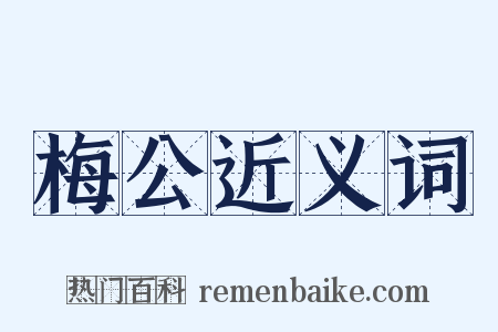 梅公近义词是什么意思的图片